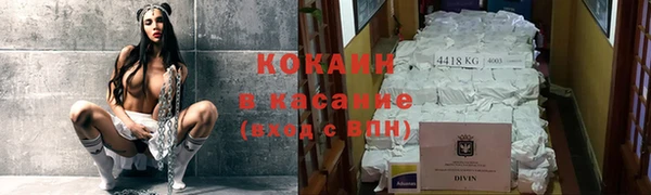 шишки Вязники