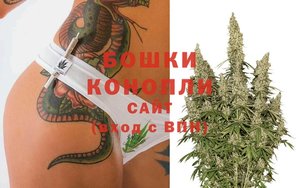 шишки Вязники