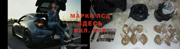 шишки Вязники
