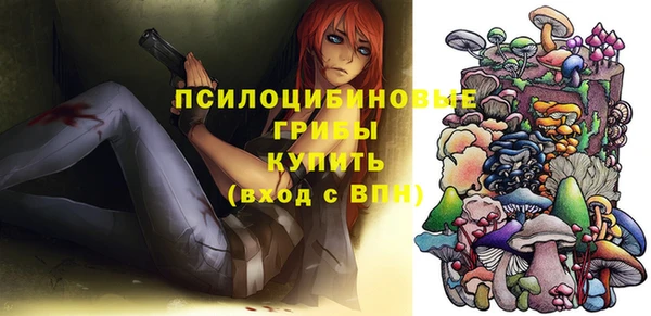 шишки Вязники