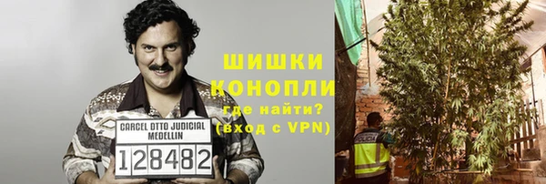 шишки Вязники